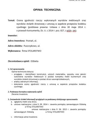 Usługi_Opinie_techniczne_foto1